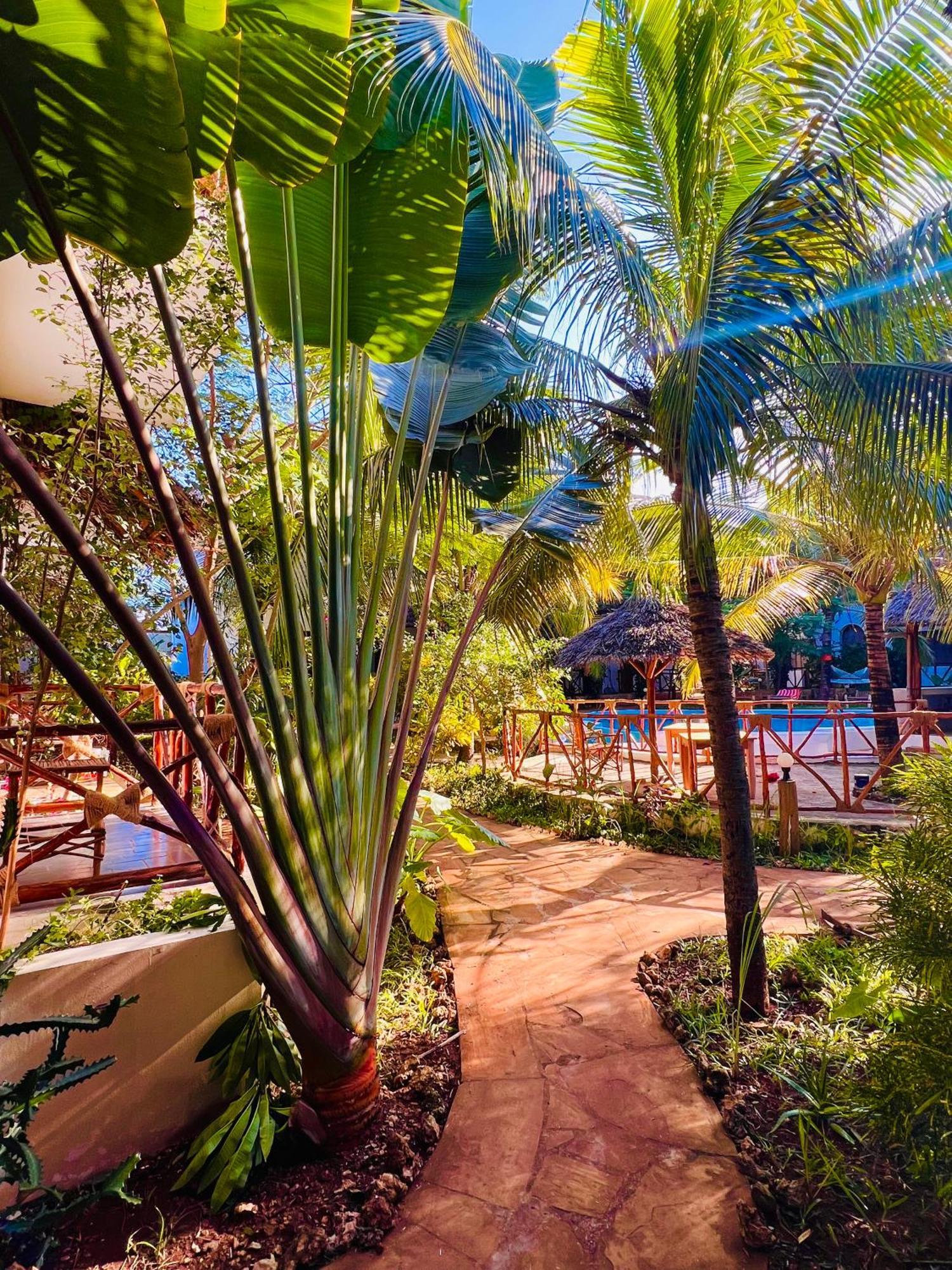 Готель Tropical Нунгві Екстер'єр фото